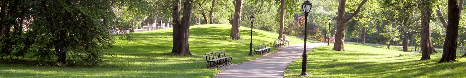 LAWNS - PARKS - RESERVES