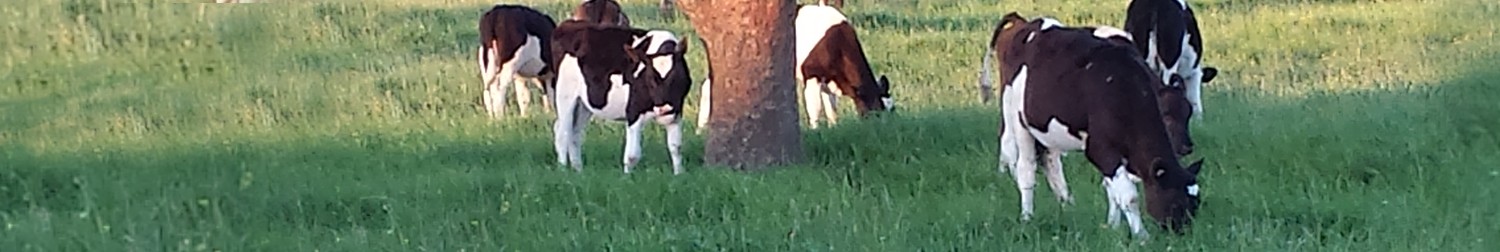 ANIMALS / PASTURE NUTRITION